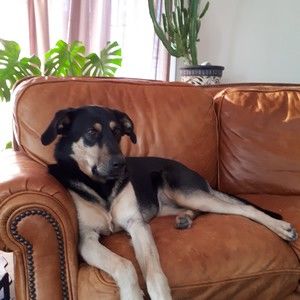 Meet your Posher, Gabriela